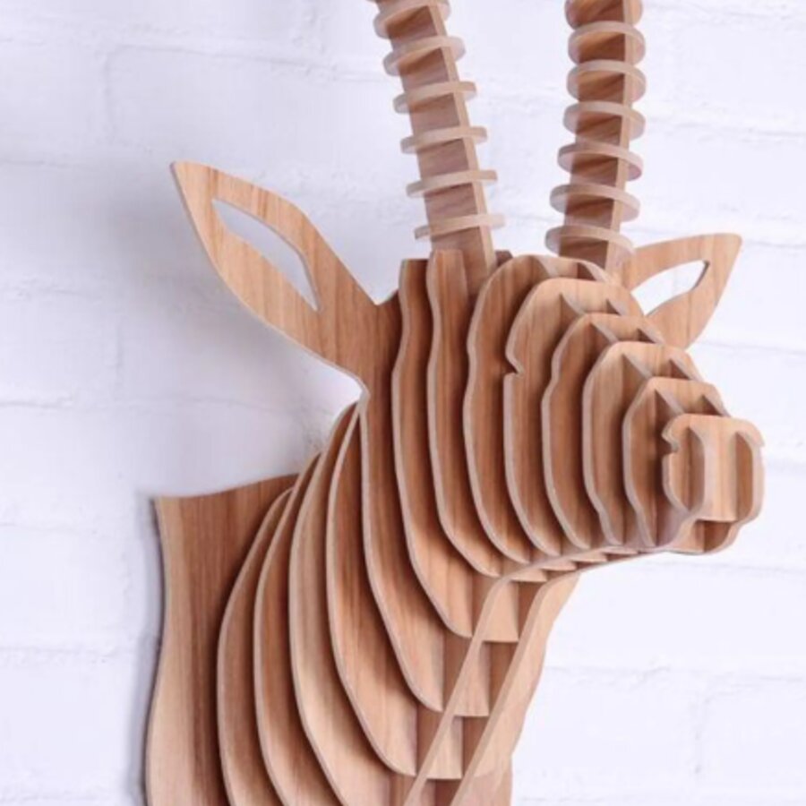 ANTELOPE II